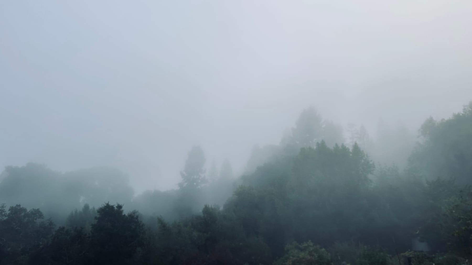 Morning fog drifting through the hills
