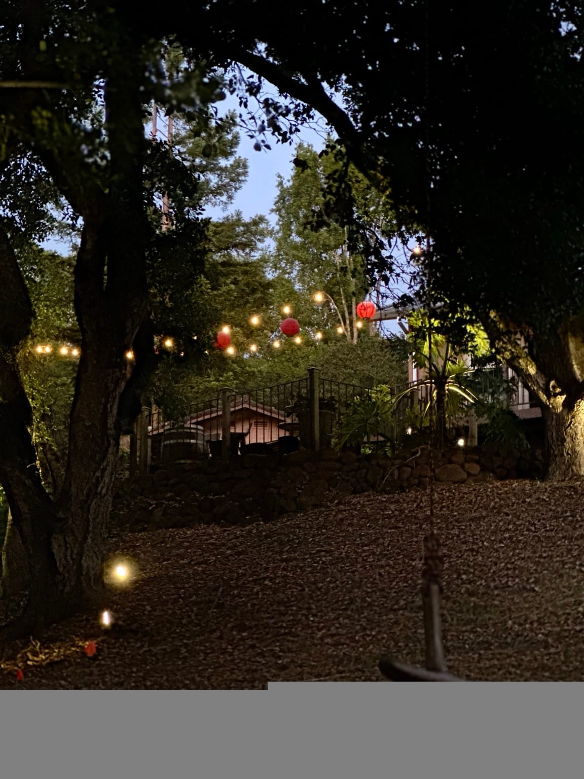 Garden lights beneath the trees at dusk
