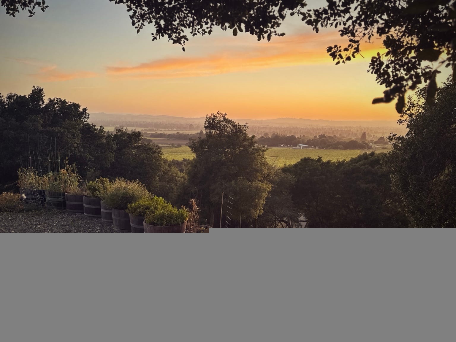 Sunset over the Sonoma valley